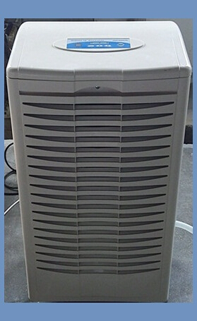 ������ʪ��